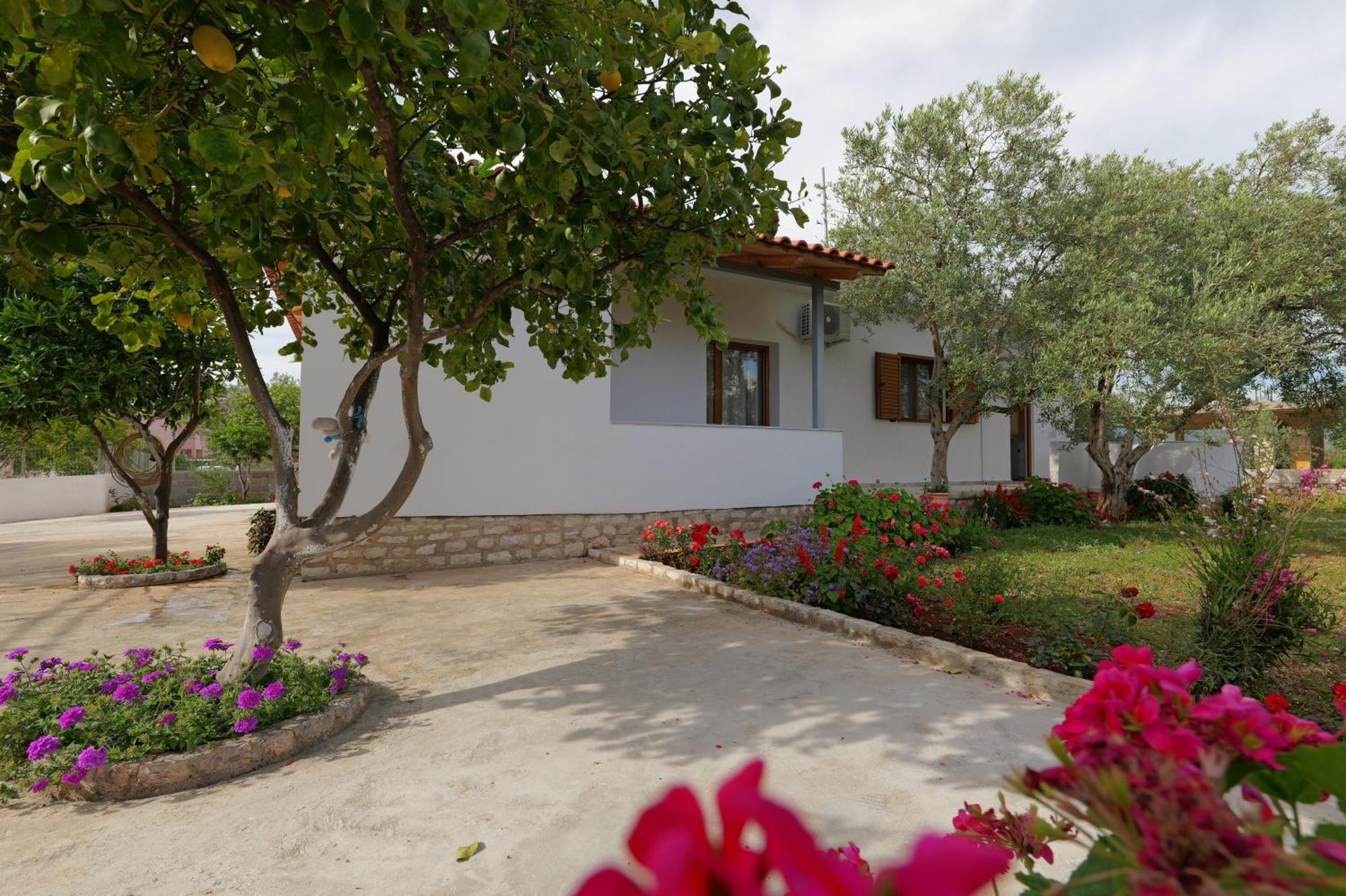 Brahimi Guest House คซามิล ภายนอก รูปภาพ