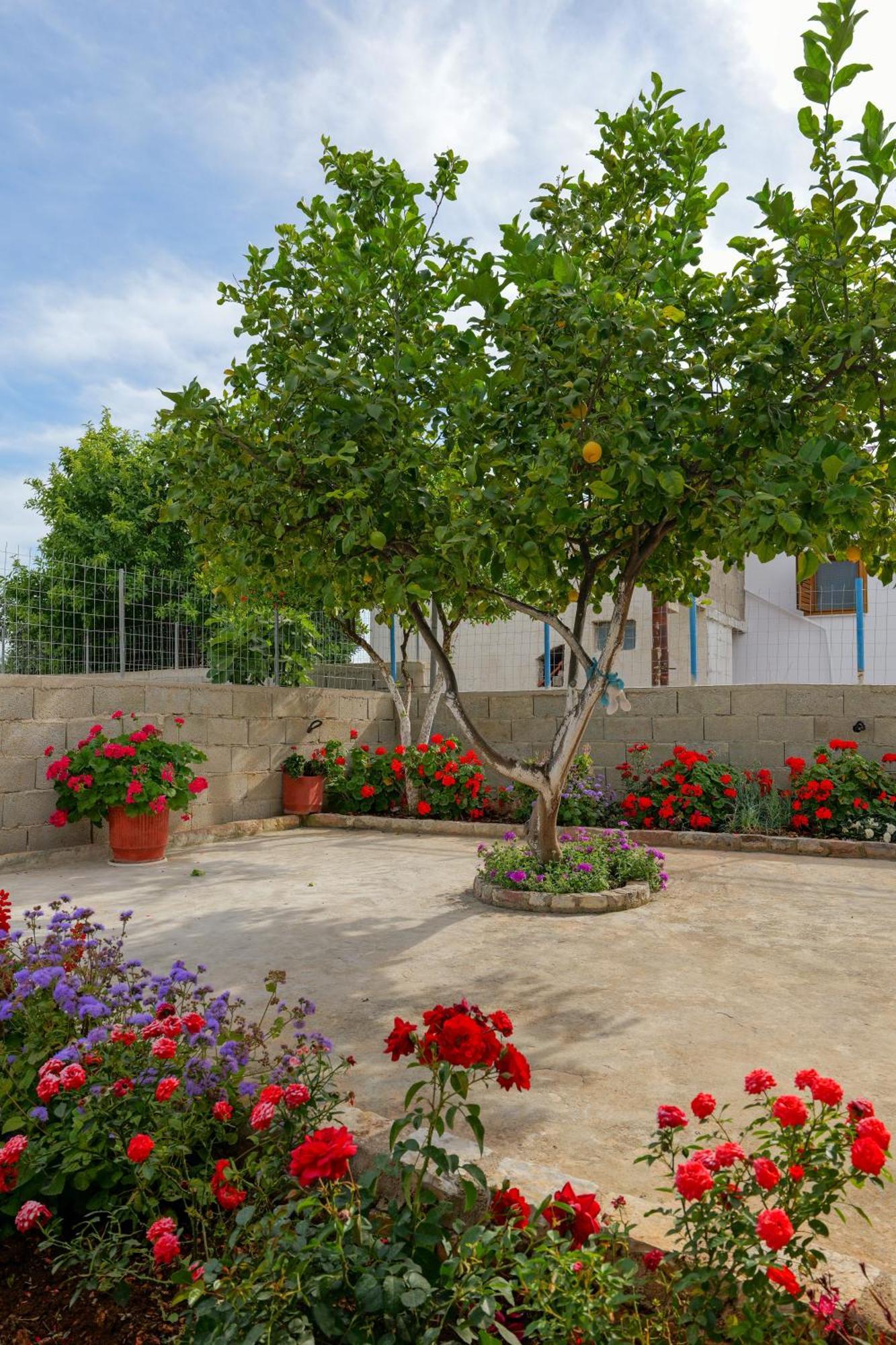 Brahimi Guest House คซามิล ภายนอก รูปภาพ