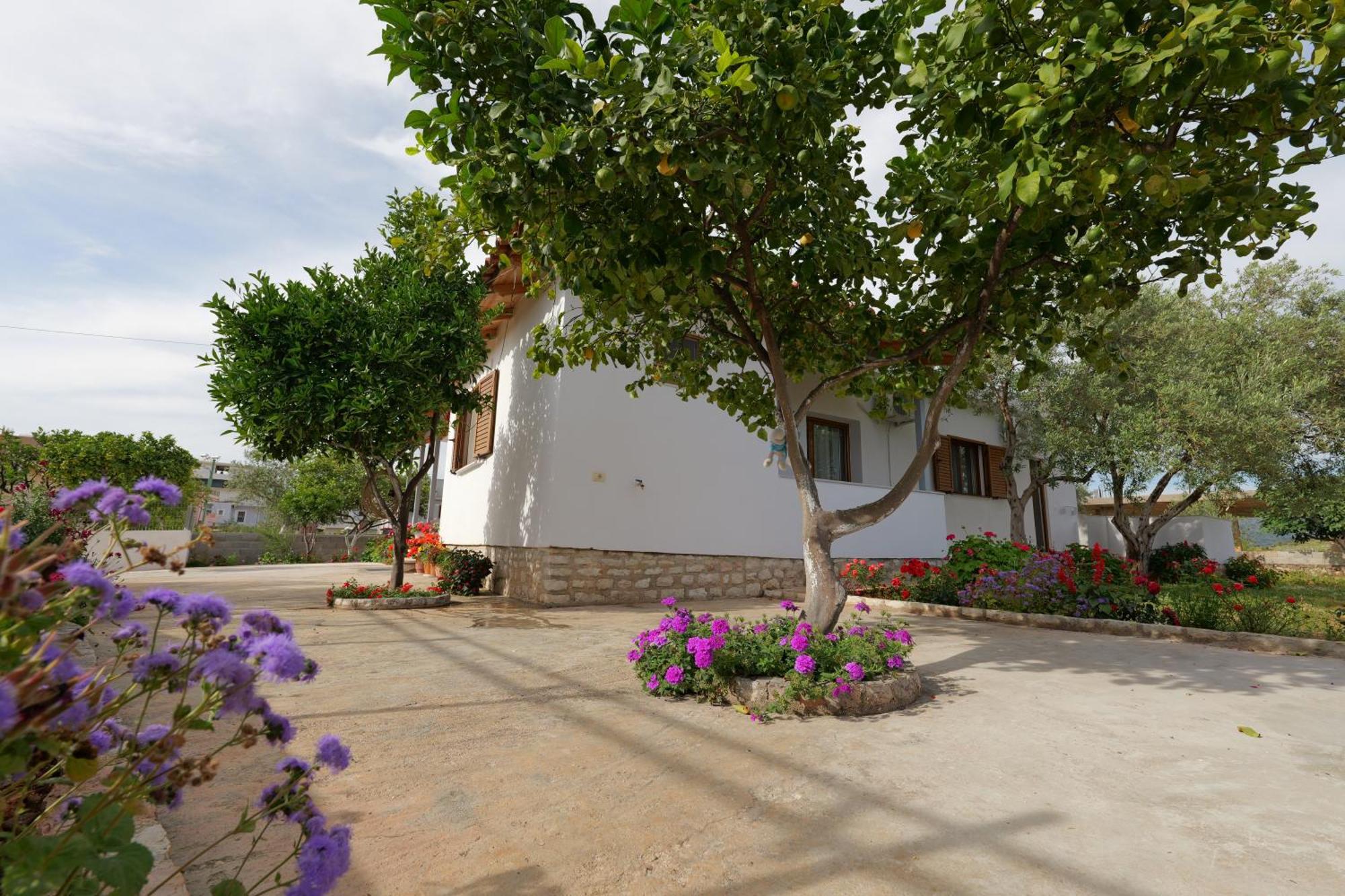 Brahimi Guest House คซามิล ภายนอก รูปภาพ