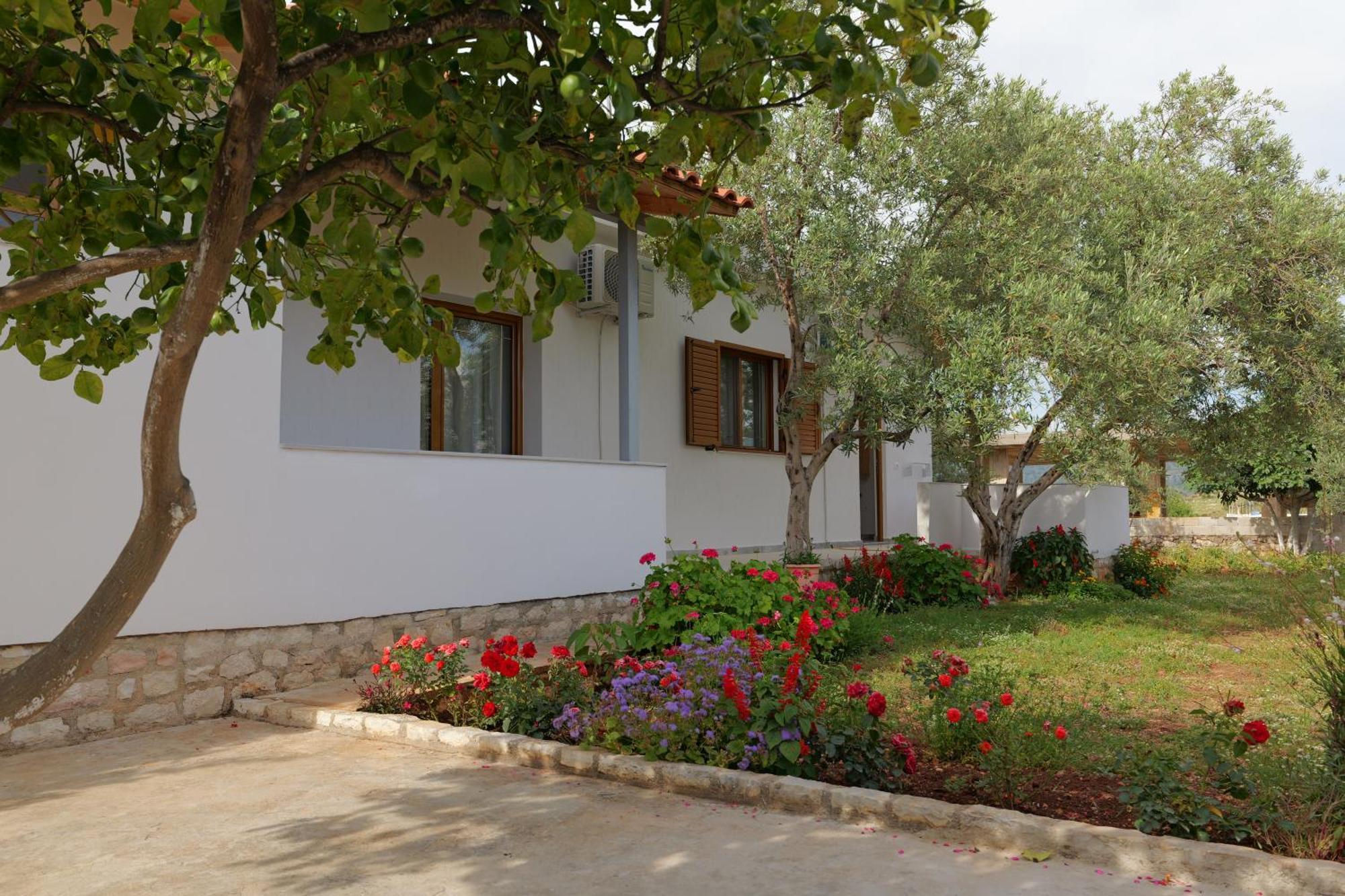 Brahimi Guest House คซามิล ภายนอก รูปภาพ